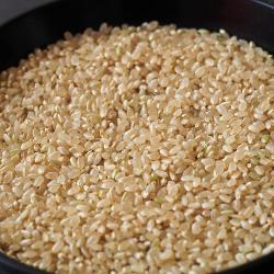 特別栽培米南魚沼産こしひかり8割減農薬米　玄米　5kg