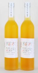 茨城県【木内酒造】木内梅酒(500ml/【お得】500ml×2本セット)