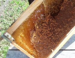 奥会津の大地の恵み　蜂蜜ギフトセット