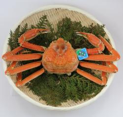 ずわい蟹　(500g×2杯)